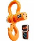 EM-1051331 Весы крановые ВЭК-10000-Д