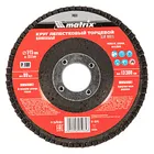 Круг лепестковый торцевой, P 100, 115 х 22.2 мм Matrix Круг лепестковый торцевой, P 100, 115 х 22.2 мм Matrix