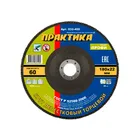 Круг лепестковый шлифовальный ПРАКТИКА 180 х 22 мм Р60 (1шт.) серия Профи Круг лепестковый шлифовальный ПРАКТИКА 180 х 22 мм Р60 (1шт.) серия Профи