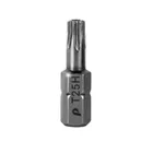 Бита отверточная ПРАКТИКА "Профи" Torx Tamper-25 х 25мм (2шт), блистер